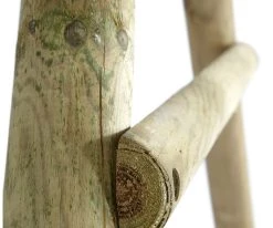 Plum Κούνια Ξύλινη Marmoset (27009) -Ηλεκτροκίνητα Κατάστημα 203410 5