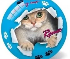 Μπάλα Star Romeo – Roxy 23cm (3125)